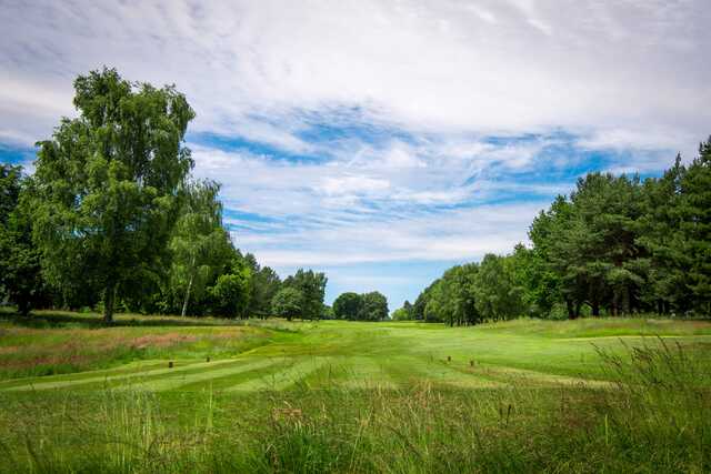 View from a tee box at Trentham Park Golf Club.