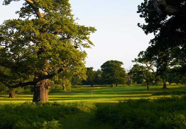 A view of hole #5 at Aylesford Course from Forest of Arden Country Club