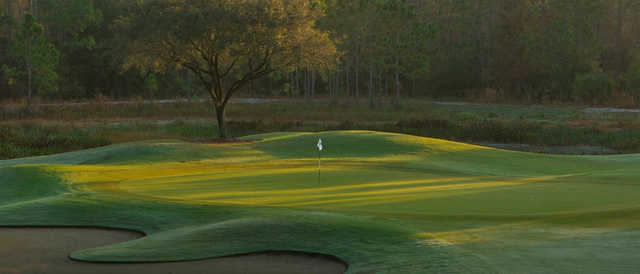 Course Image