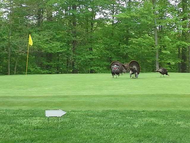 Hinckley Hills Golf Course