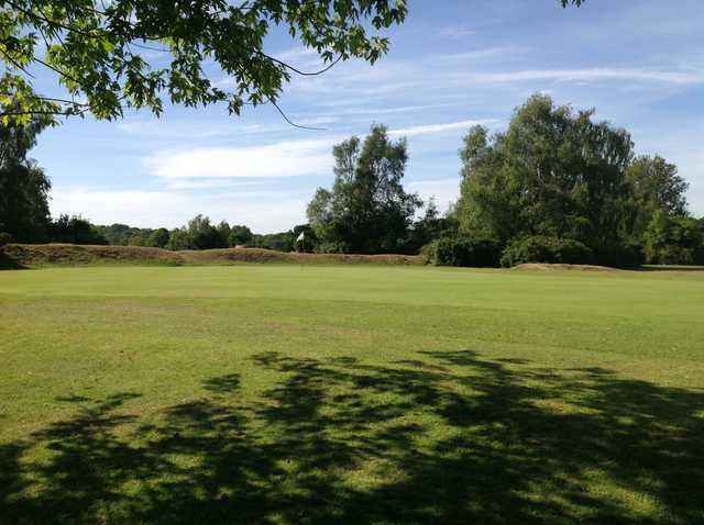 New Forest Golf Club