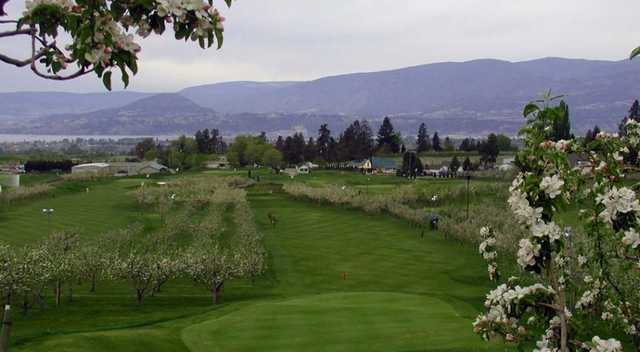 Orchard Greens Golf Club