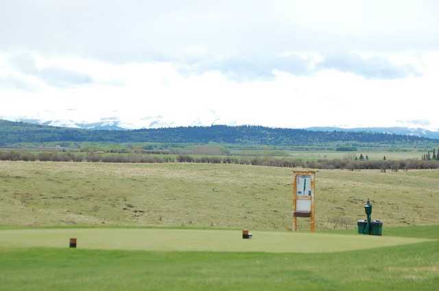 Course Image