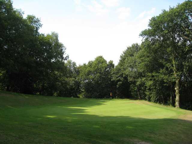 A view of the 1st green and surrounding trees at Greenway Hall Golf Club