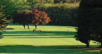 A view of fairway at Grange Golf Club