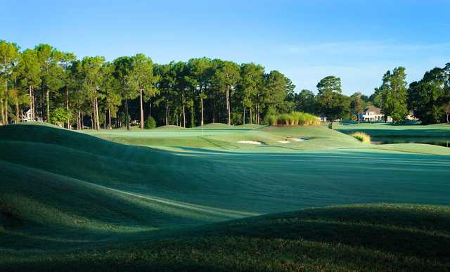 Sea Trail Golf Resort - The Dan Maples Golf Course