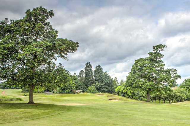 Course Image