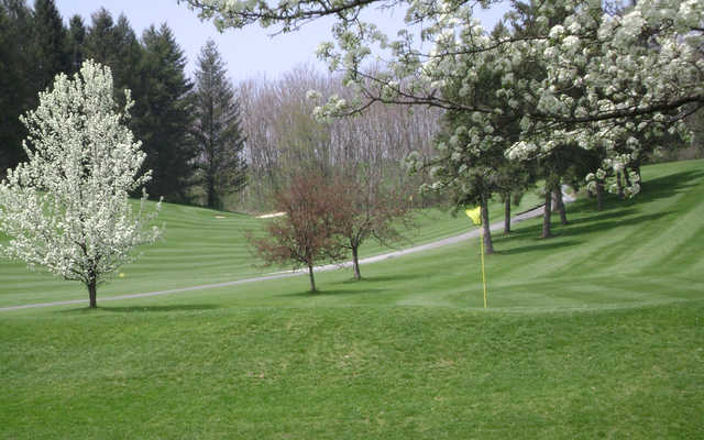 Willow Hollow Golf Club