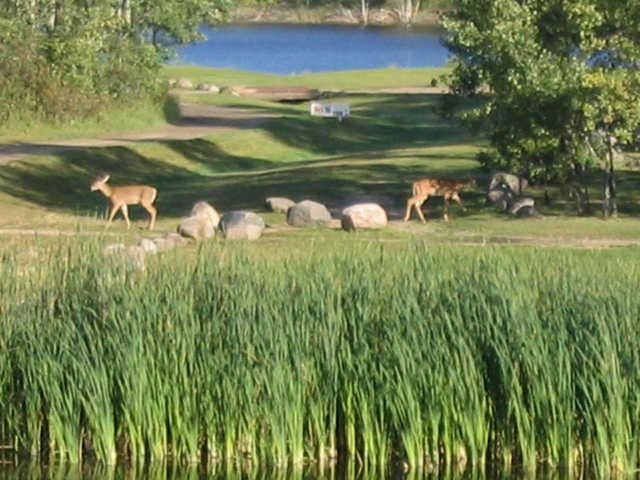A view of fairway #16 at Oakwood Golf Course