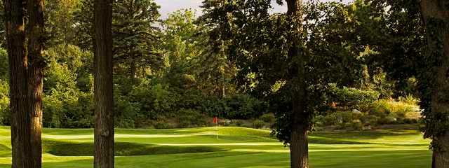 Course Image
