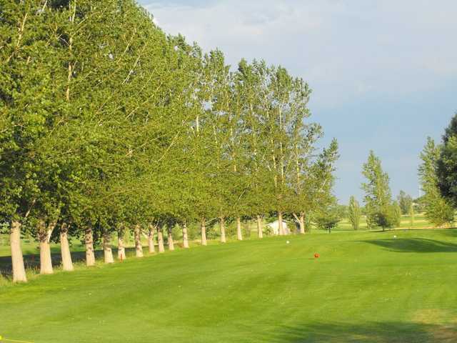 Course Image