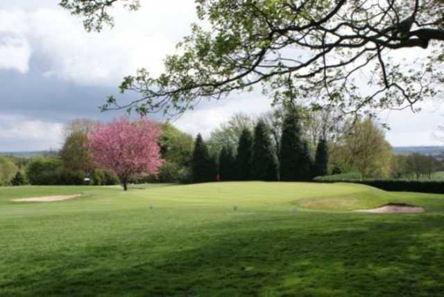 A view of the 6th green and blossom tree at Chesterfield Golf Club