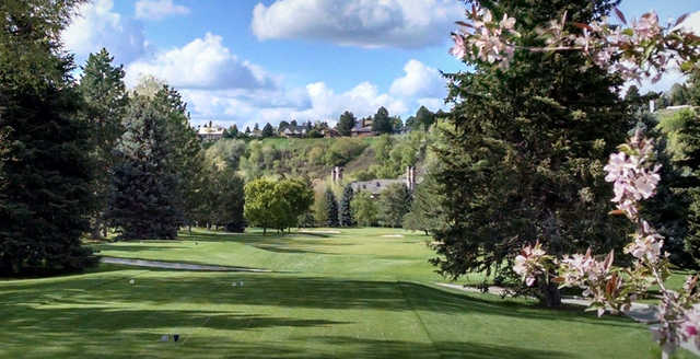 A spring day view from a tee at Willow Creek Country Club.