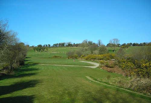 A view of hole #7 at Leinster Hills Golf Club