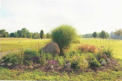 A view from Tameka Woods Golf Club