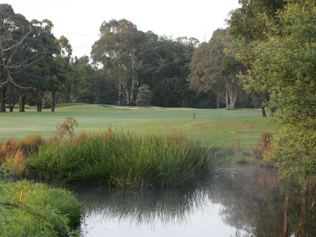 View of a green at Yarra Valley Golf Club