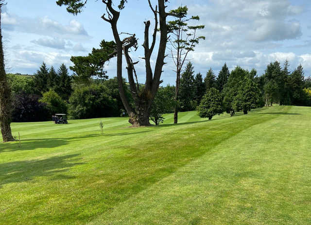 A view of a fairway at Clonakilty Golf Club.