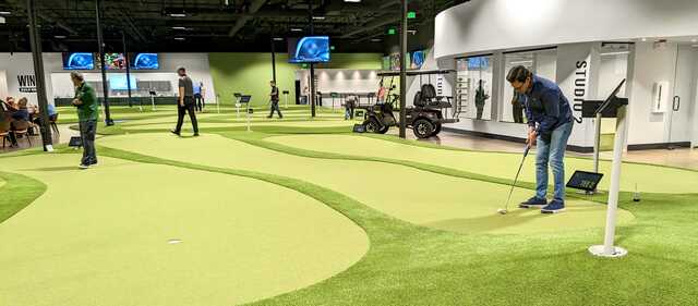 Putting World Simulators