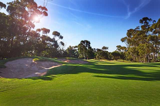 A view from a fairway at Geelong Golf Club.