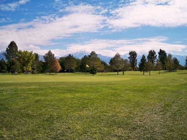 A view of a .reen at Fore Lakes Golf Course