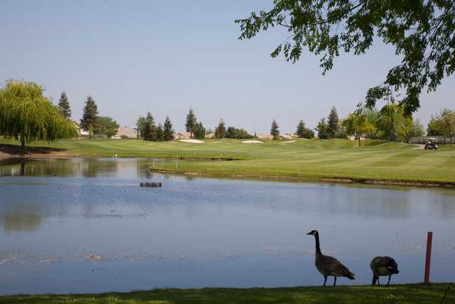 Timber Creek Golf Course