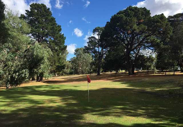 View from Studley Park Golf Course