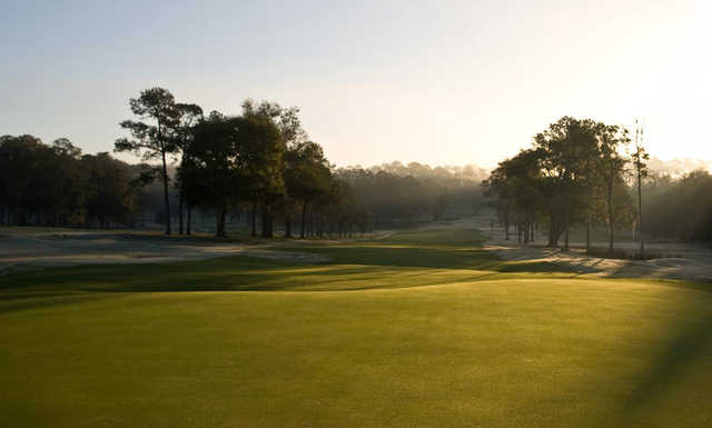 University of Florida Golf Course