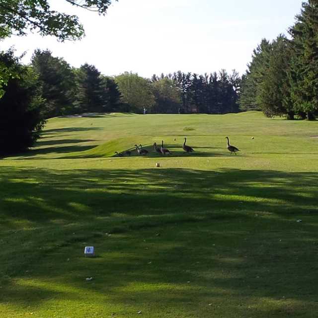 Course Image