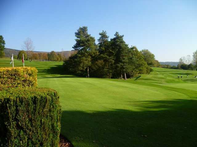 Course Image