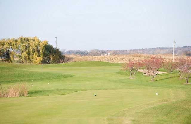 Course Image