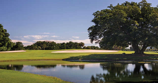 Course Image