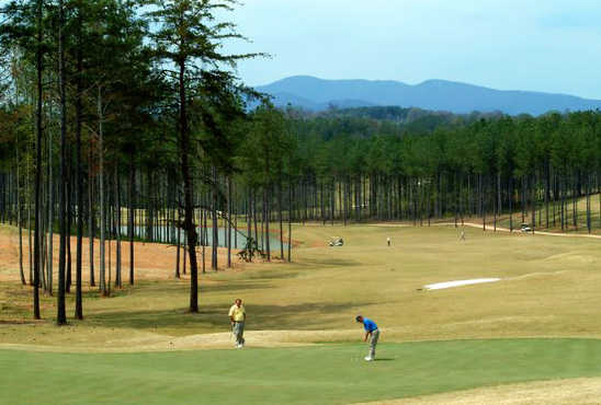 Course Image