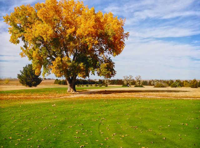 Enders Lake Golf Course