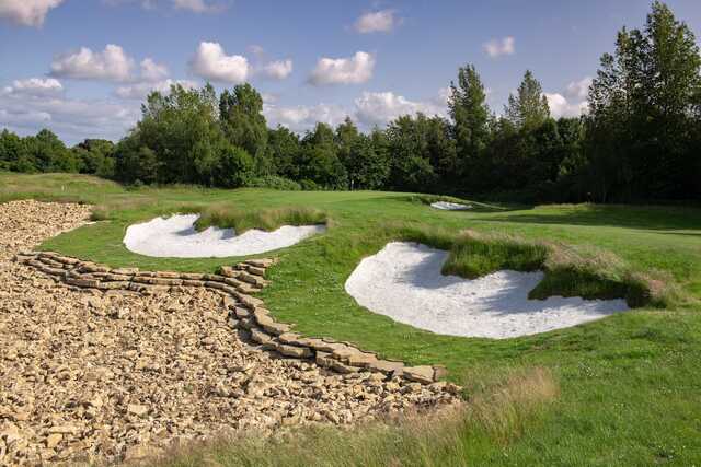 Mad Swans in The Mendips