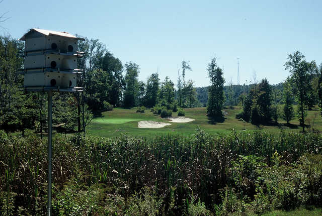 Course Image