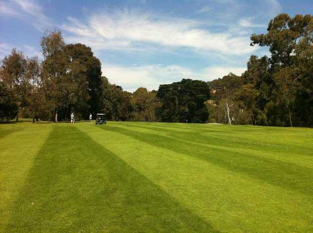 View from a fairway at Yarra Bend Golf Course.
