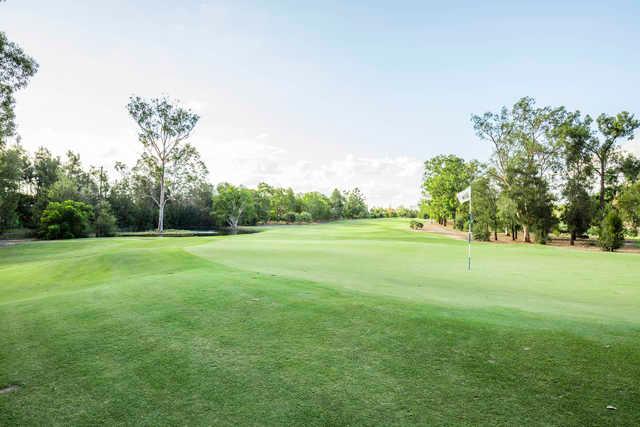 A sunny day view of a green at Brisbane Golf Club.
