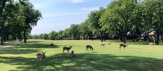 Nutcracker Golf Club