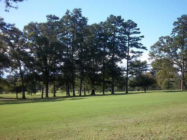 Mimosa Hills Golf Club