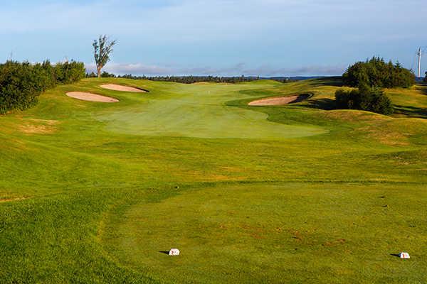 A view from tee #10 at Black Duck from Clovelly Golf Course