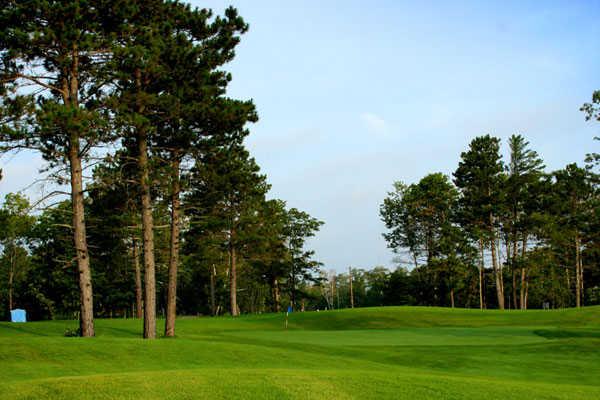 Course Image