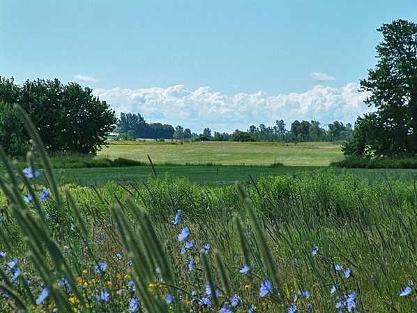 Alston Moor Golf Links