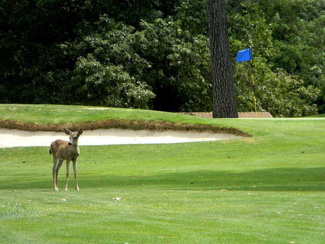 Cold Springs Golf & Country Club