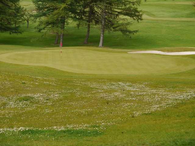 A view of a green at Williamwood Golf Club