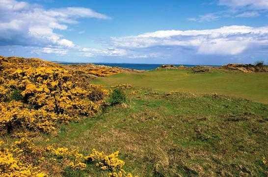 A view from hole #10 at Annesley Links Course from Royal County Down Golf Club