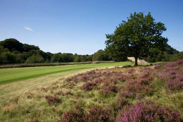 View from a fairway at Pleasington Golf Club.