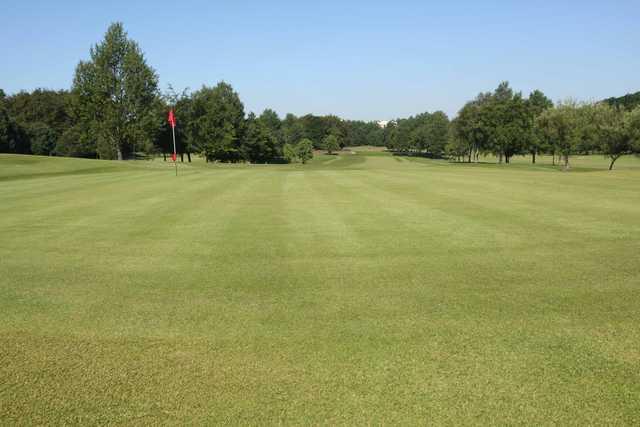 Looking back from the 18th green at Cowglen Golf Club