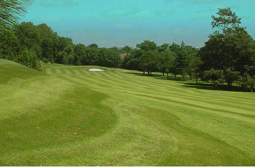 A view of a fairway at Henbury Golf Club