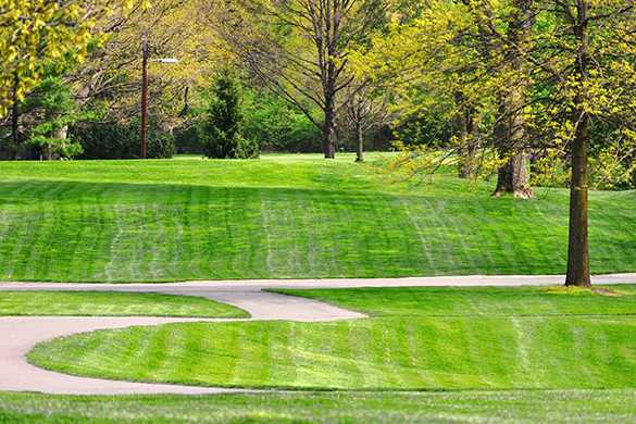 A view from Woodstock Club