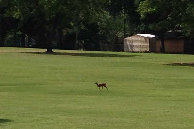 Houston Country Club